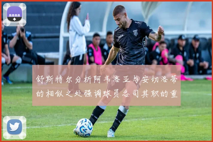 舒斯特尔分析阿韦洛亚与安切洛蒂的相似之处强调球员各司其职的重要性